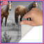Three Horses In Forest Bath Mat-1180620713