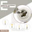 Spotlight-101575209