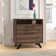 Boneita 29'' Wide 2 -Drawer File Cabinet