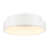 Blanc mat est en rupture de stock