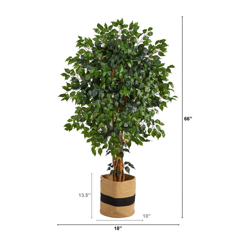 66'' Faux Ficus Tree in Planter