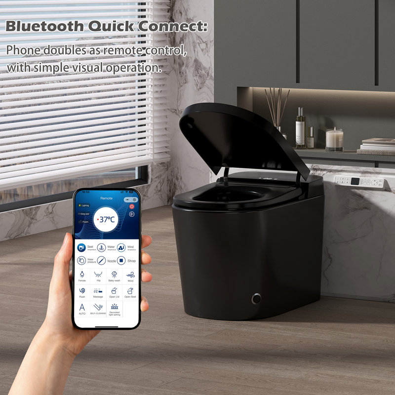 Toilettes intelligentes avec chasse d'eau automatique, en porcelaine noire, entraxe de 30,5 cm (12 po), style contemporain