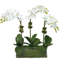 Phalaenopsis Orchids in Glass Rectangle Vase