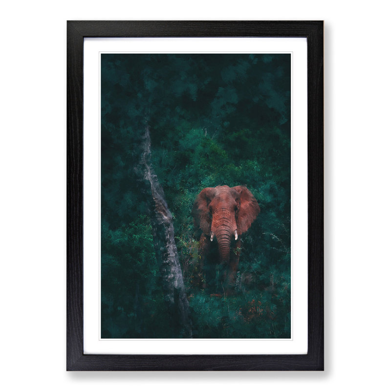 Elephant Vol.8 - Picture Frame Graphic Art, 65cm H x 48cm W x 2cm D, Black Framed