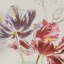 Laura Ashley Gosford Wallpaper Roll
