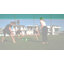 GoSports Slammo PRO Game Set- Roundnet Beach Outdoor Lawn Gamet Set