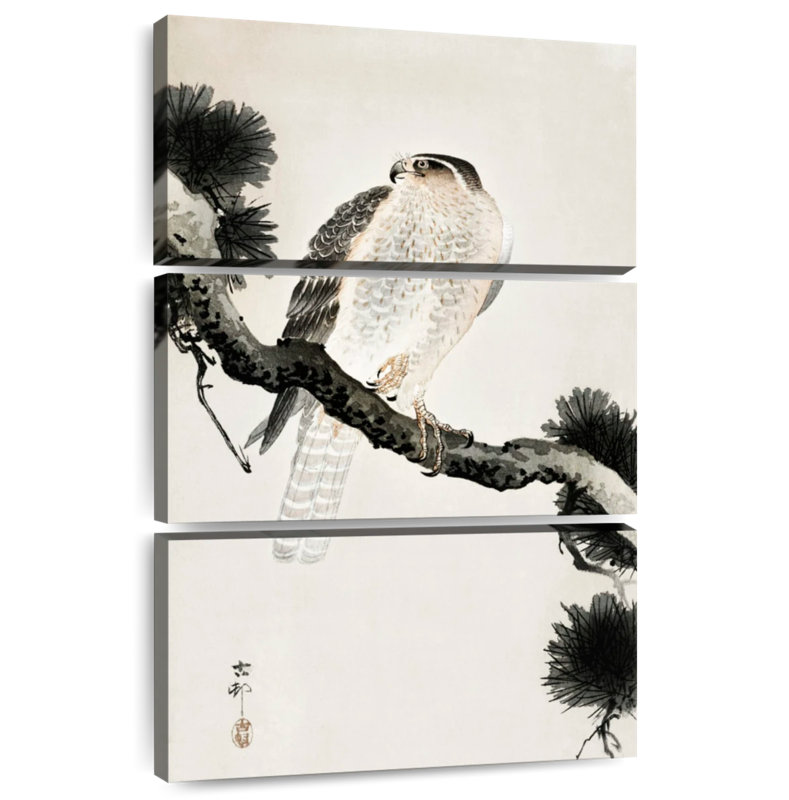 Brampt Hawk On Pine Branch, 45" H x 28" W