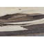 Hand Woven Area Rug-1646988990