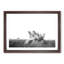 Family of Cheetahs - Picture Frame Graphic Art Print-55731277-55731278