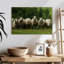 Mouton Brampt Toscane-107876310