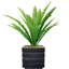 Plante grasse artificielle Bragdon en pot