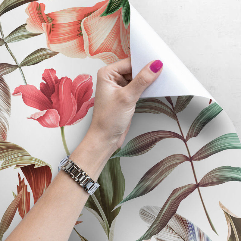 Bonapart Matte Roll, 360 x 250cm