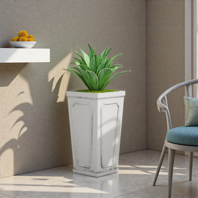 MGO PLANT