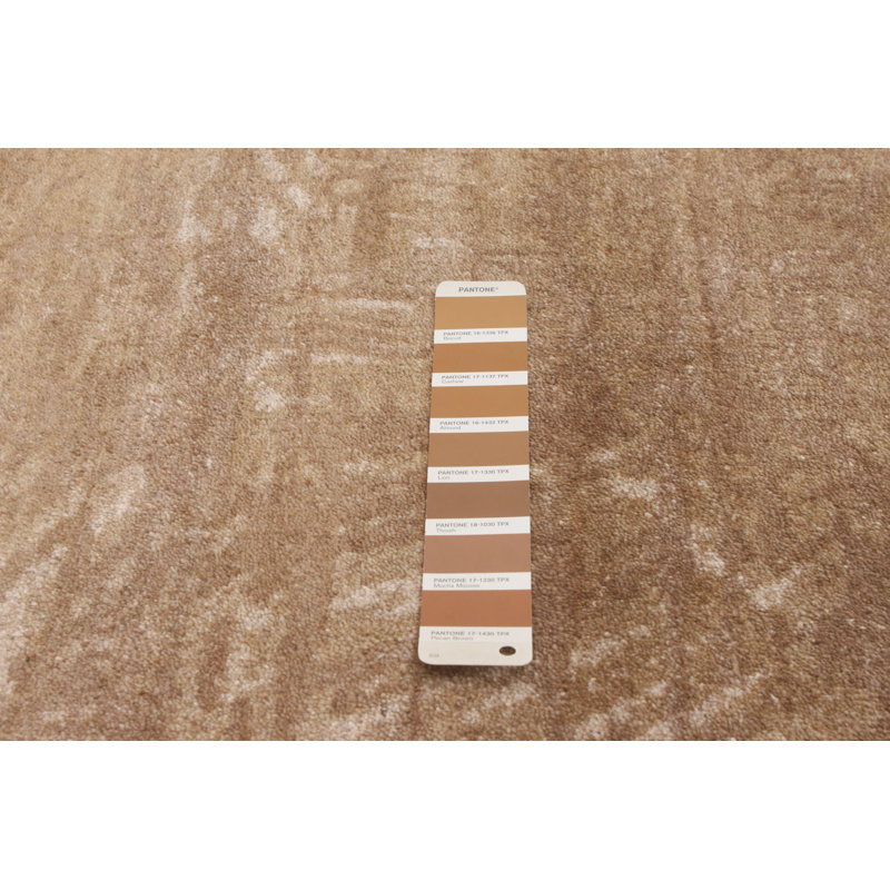Pagedale Wool Indoor Rug