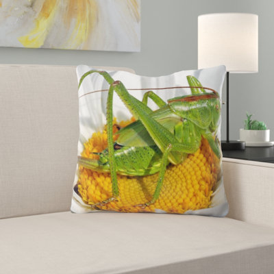 Coussin sauterelle nymphe