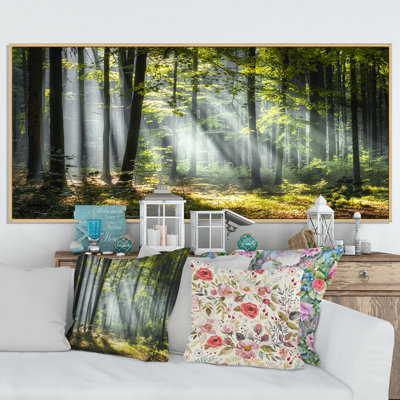 «Sunny Morning Magic Forest III - Forest», reproduction d'art sur toile