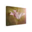 «Pretty in Pink», reproduction sur toile tendue-95430236