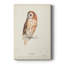 Tawny Owl - galerie sur mesure-685543395