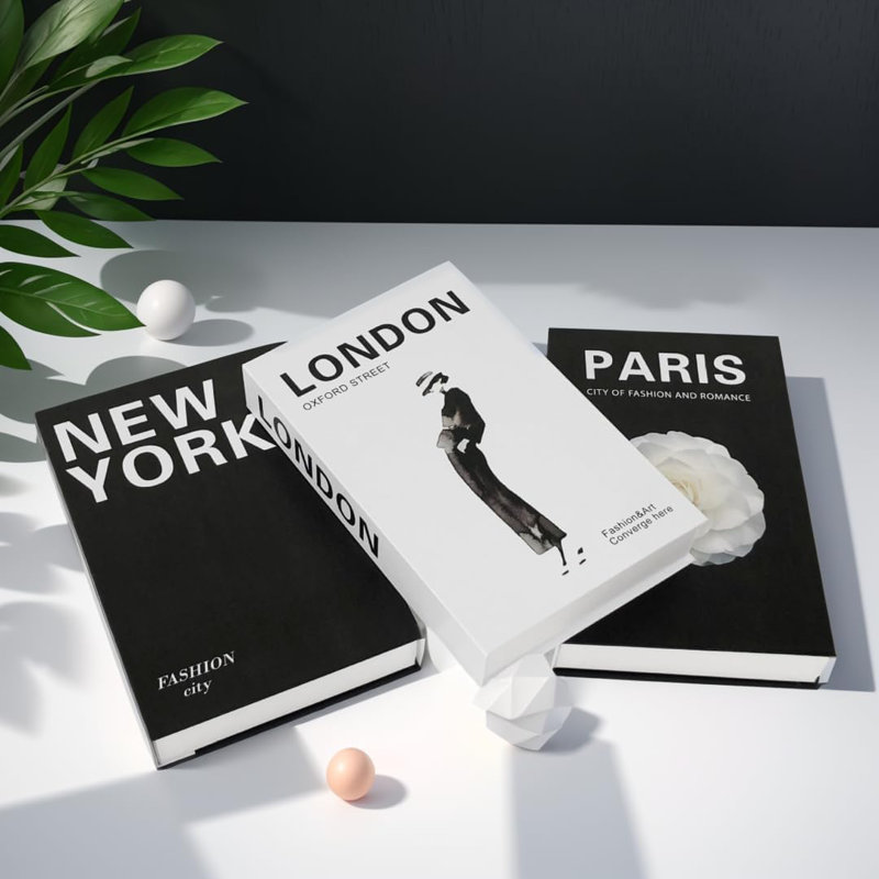 3 livres décoratifs pour décoration de table basse