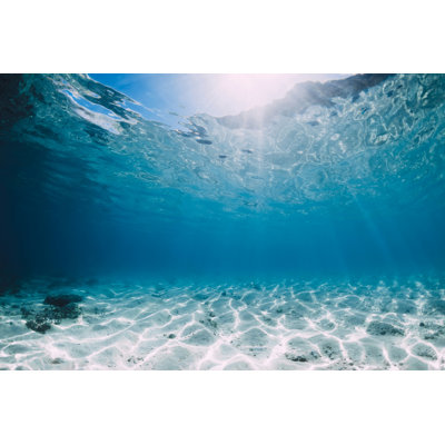 " Tropical Blue Ocean " by Nuture