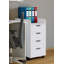 Fordham 40cm Wide 4 -Drawer Mobile Solid Wood File Cabinet-35915634