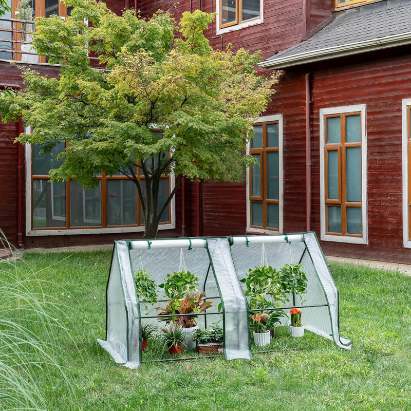 Braea 6 Ft W x 3 Ft D Mini Greenhouse, White