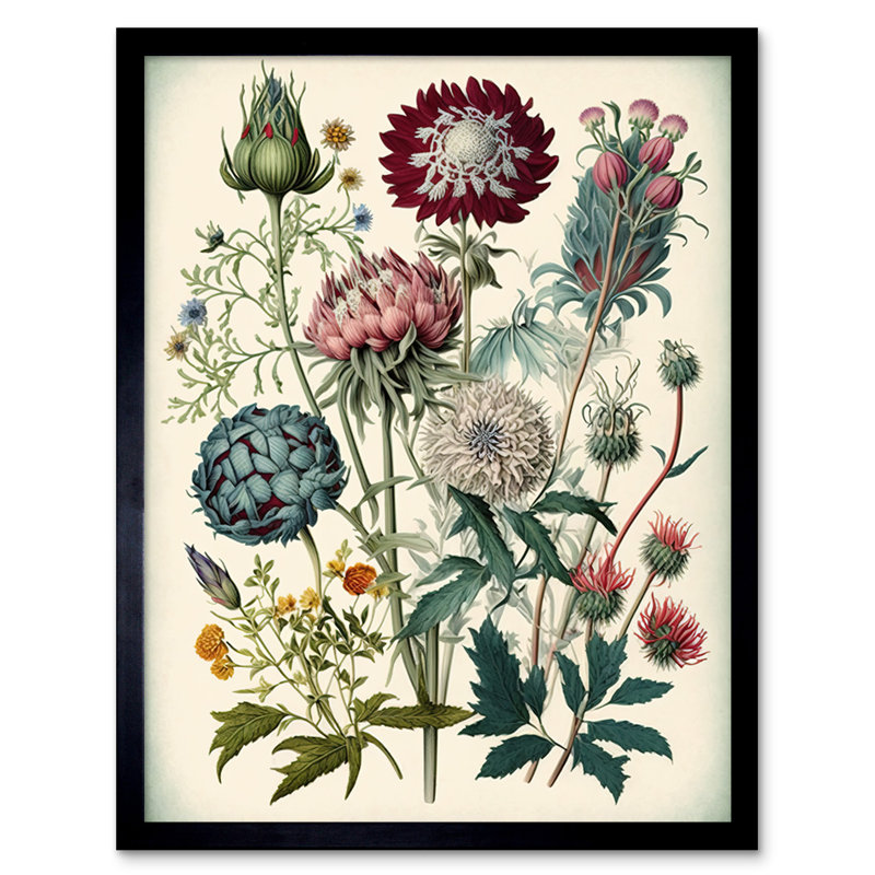 Ernst Haeckel Style Vintage Botanical Plant - Single Picture Frame Print