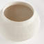 BB OJAI POT