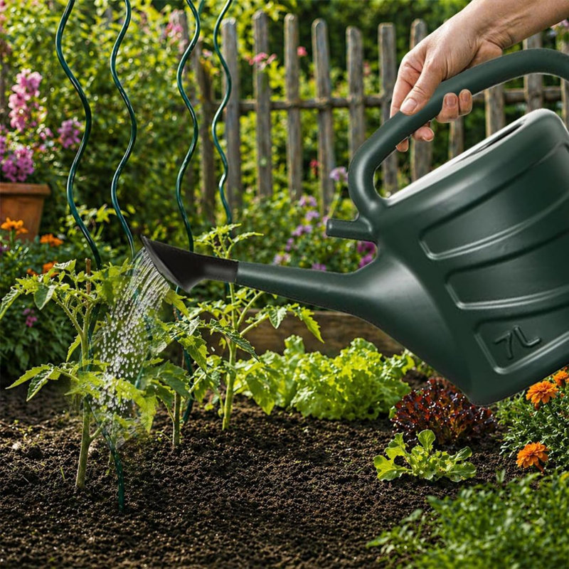 Watering Can, 33cm H x 40cm W x 11cm D, Green