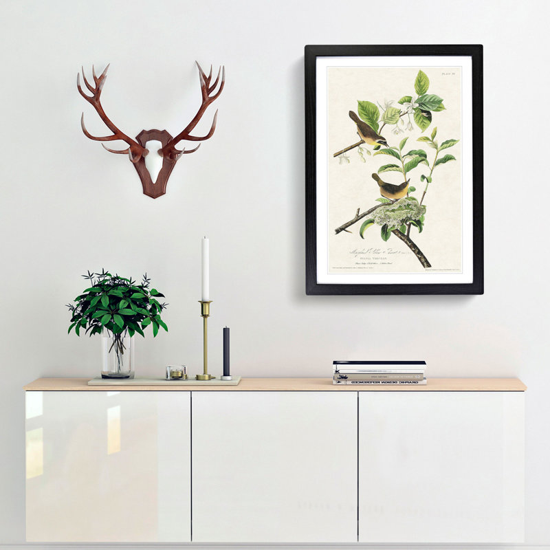 Yellow-Breasted Warbler Birds by John James Audubon - Picture Frame Graphic Art Print, Black Framed, 65cm H x 48cm W x 2cm D
