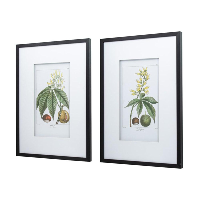 Botanique - ensemble de 2 reproductions de cadres photo