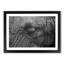 Elephant - Picture Frame Graphic Art Print-55725310-55725312