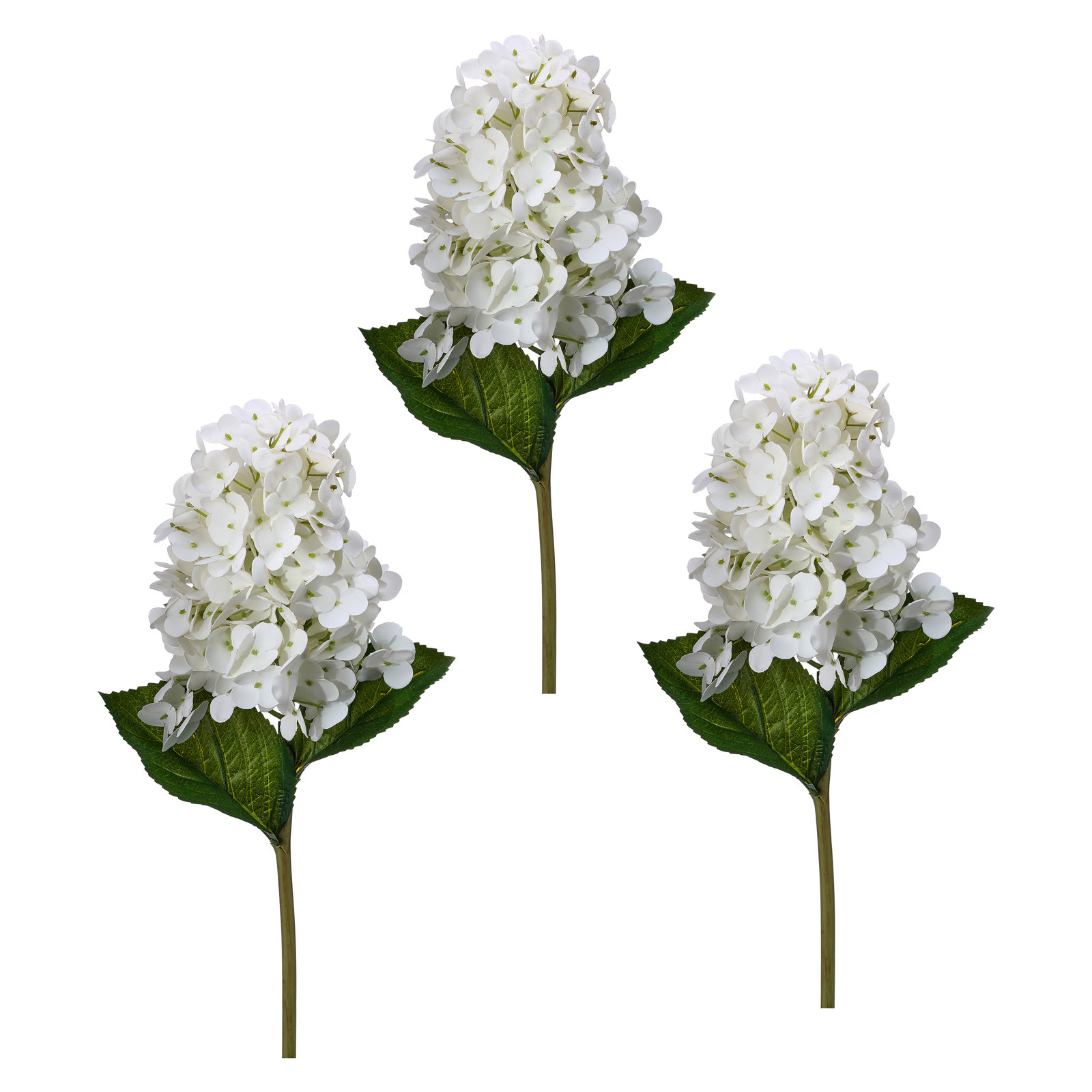 Cone Hydrangea Stems, White