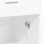 Oshyn 2 -Door Accent Cabinet-1738992771