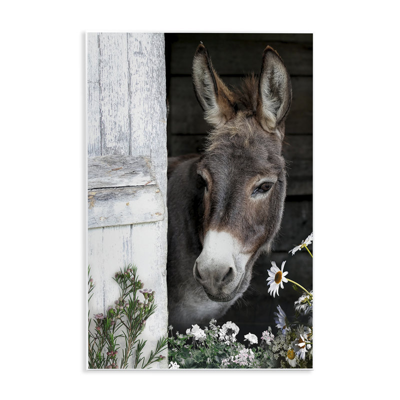 Plaque murale «Gentle Donkey Peering from Barn», conception par CAD Designs, H 19 po x l 13 po