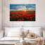 Lever de soleil sur le coquelicot rouge-1106108907