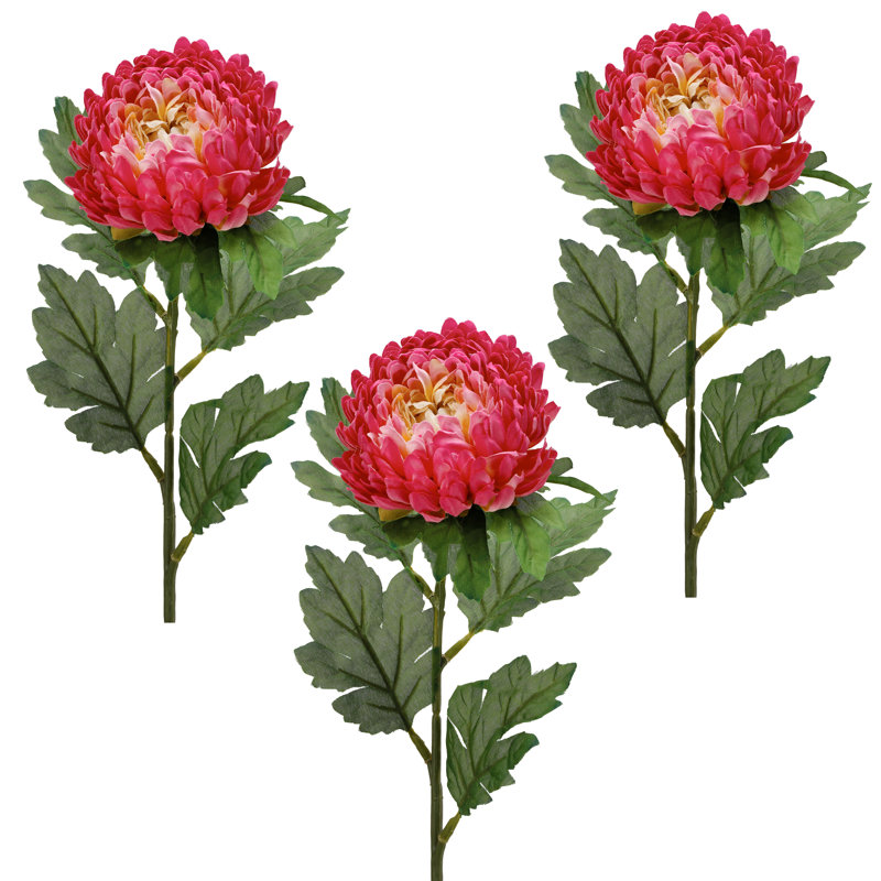 23" Beauty Aster Stem, Red