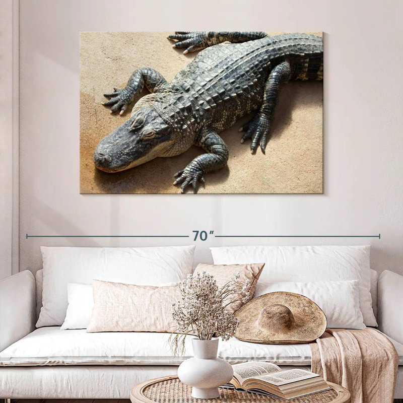 Alligator, 32" H x 48" W