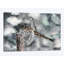 «Dragonfly II» non disponible sur toile-33358875-72414564-72414560