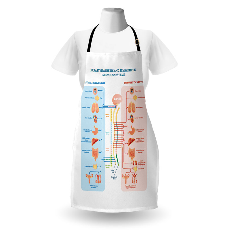 Tablier East Urban Home Anatomy