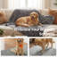 Pet Blanket