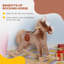 EvoNet Toy