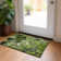 Alfonzo Floral Indoor / Outdoor Rug