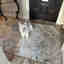 Customer photo 2 of 2