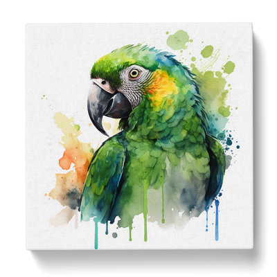 Parrot Watercolour - No Frame Print