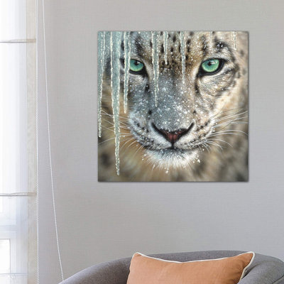Snow Leopard - Blue Ice by Collin Bogle - Wrapped Canvas Print