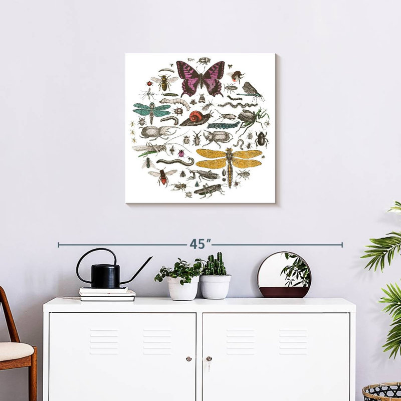 Brampt Insect Circle II Bright, 24" H x 24" W