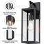 Schlesinger Matte Black Outdoor Wall Lantern-501180800