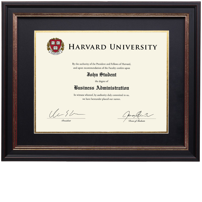 Blakes Wood Beveled Picture Frame with Mat, Black/Bronze