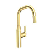Muncy Single Handle Pull Down Kitchen Faucet